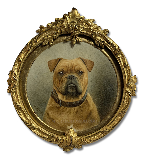 Portrait miniature by Dorothy Oliver of a Staffordshire Bull Terrier